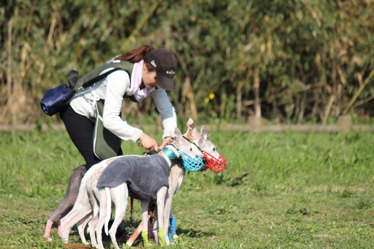 165013AC-B342-46E4-AA85-181761A863E6.jpeg