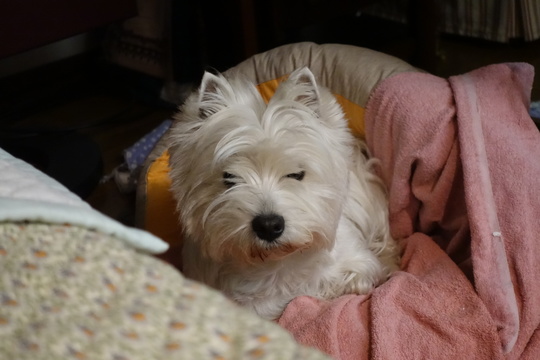 22F96AB0-27C7-4F91-9EC2-7F38D7A954C2.jpeg
