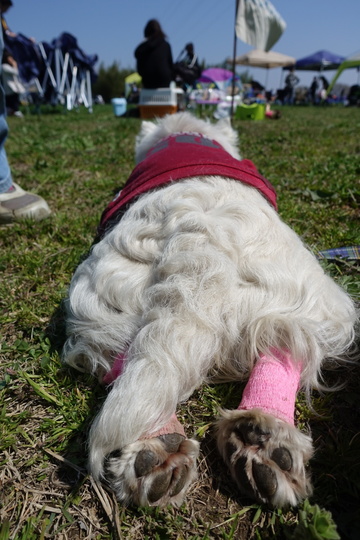 2A03BEF9-4493-4023-A748-1BBAFF610849.jpeg
