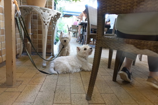 2FDC0C7D-F15C-4B24-B61D-56D93CF350CA.jpeg