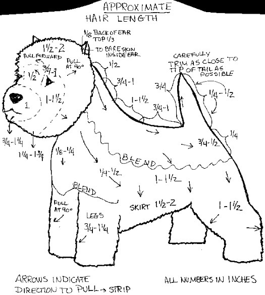 31826F4F-BE7B-4314-9B0C-46FFA30AF730.jpeg