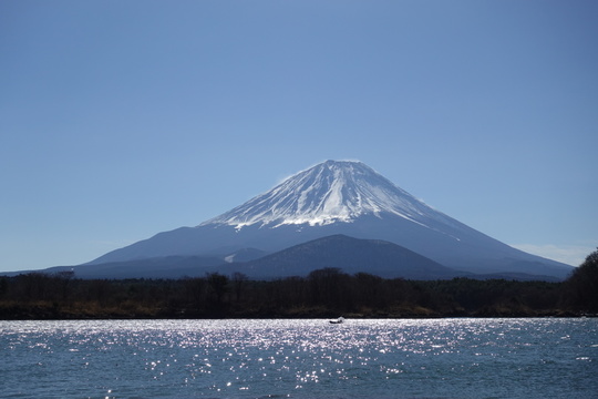 49D6806C-75F7-4166-AF26-AF3E8A44D31E.jpeg
