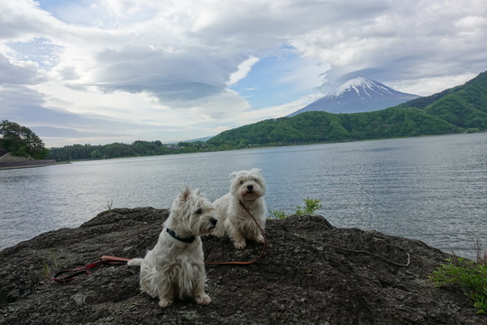 5345560D-7B8E-46A7-AB31-53C468D34D05.jpeg