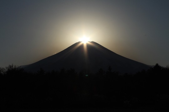 656EE13A-92C4-4364-8E85-3E32963964AE.jpeg