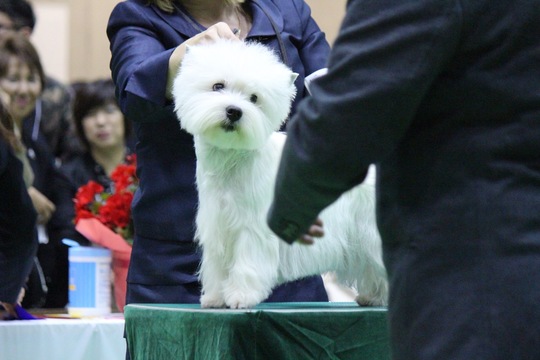 81682F96-1873-459A-825C-A4AC62EA750D.jpeg