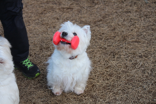 94019C11-764D-40B0-905F-72573544FC34.jpeg