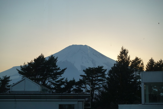 99540E1F-05C6-401A-A1E9-8C6725F63202.jpeg