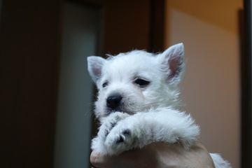 A95BE627-391E-4881-9354-980479827AC1.jpeg