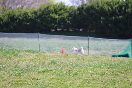 AE0517EB-D99F-4FCD-AC48-051E8561709D.jpeg