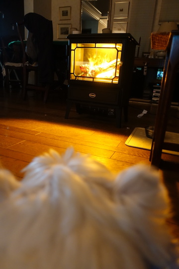 B215115E-DE99-4B15-9EA9-9E8770D3D31F.jpeg