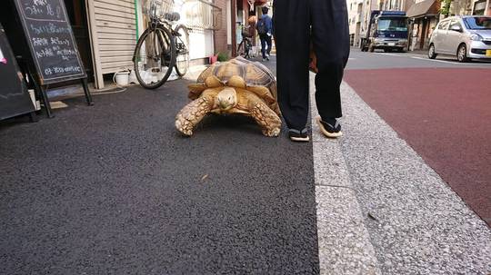 F53FE8FF-444D-4654-994B-DAF4BEE719EA.jpeg