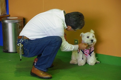 IMGP7577.jpg
