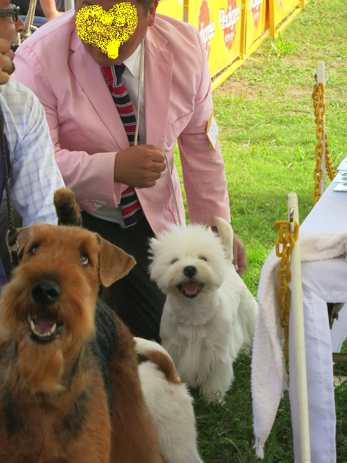 IMG_0429.png
