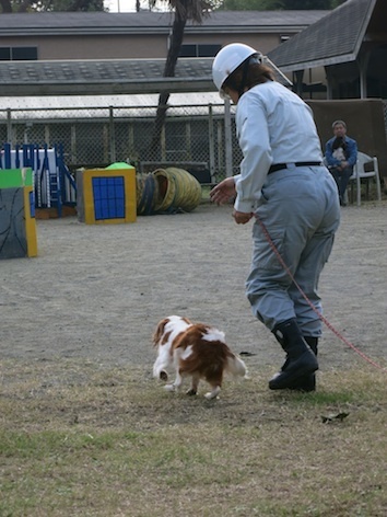 IMG_1282.jpg
