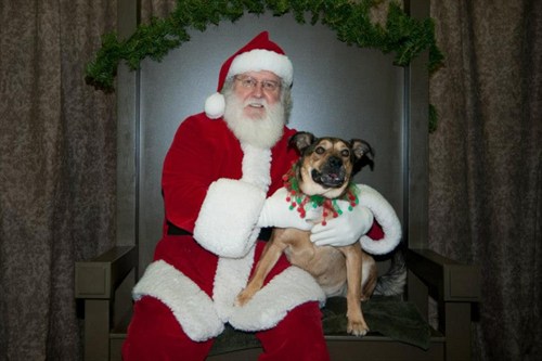 letter to santa_500x333.jpg